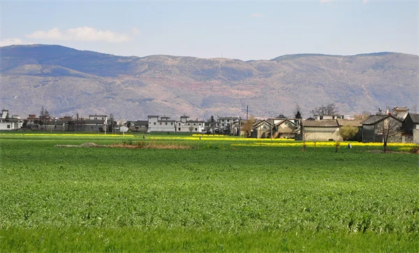 MS Brain Lesions and Depression: The Shocking Connection Explained