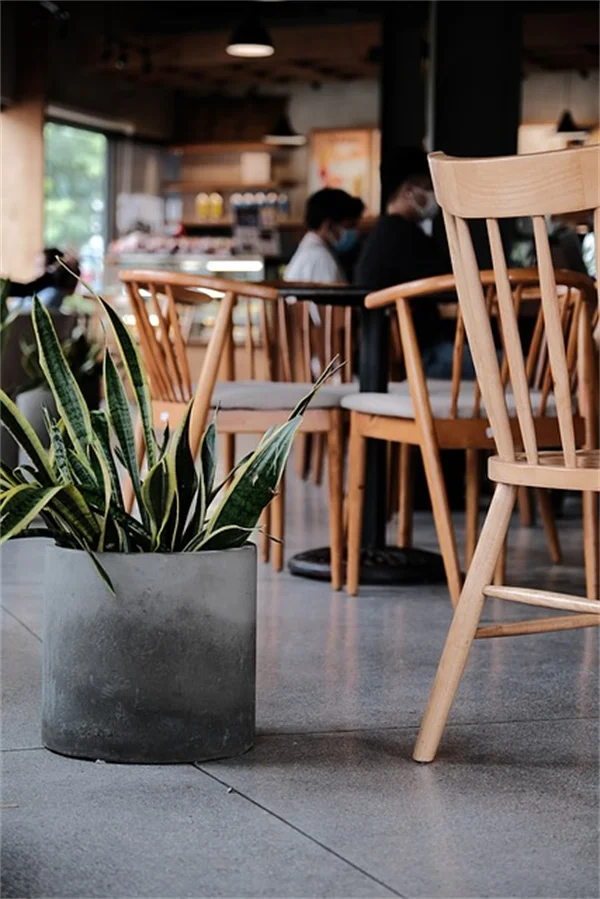 Dr. Mike's Cancer Screening Guide: Save Your Life in 2024