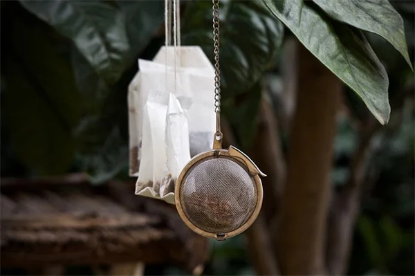 Kim Kardashian's Full-Body Scan: 5 Shocking Truths Doctors Want You to Know