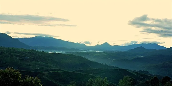 Hormones and Rheumatoid Arthritis: What Women Need to Know About Increased Risks